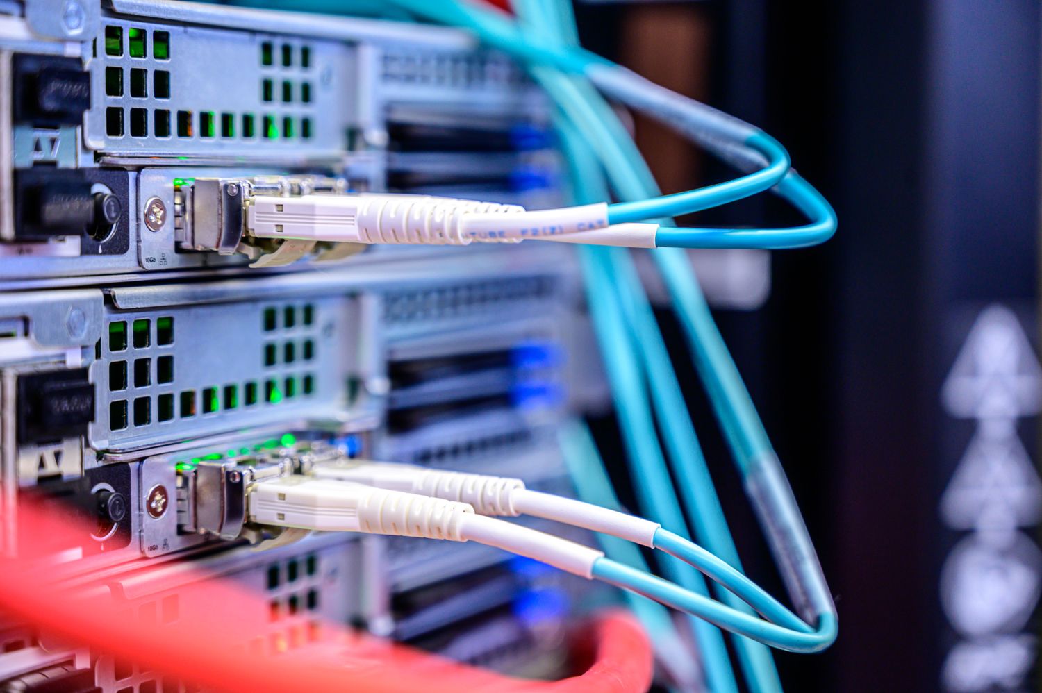 Ethernet cables plugged into network equipment